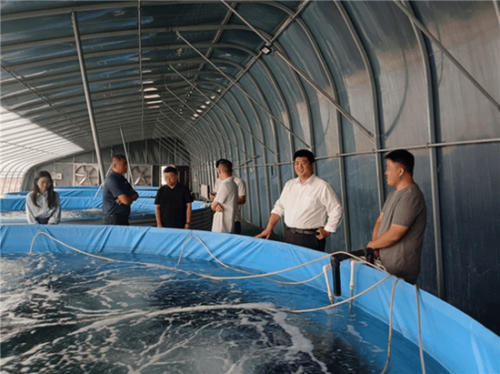 点亮青春创业梦第五师双河市团委助你前行